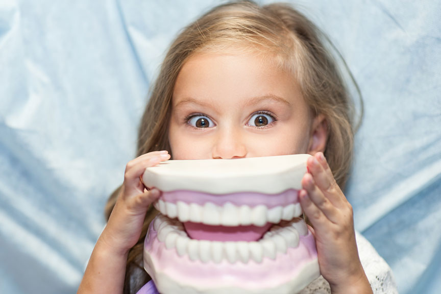 Girl Holding Dental Mouth Sample