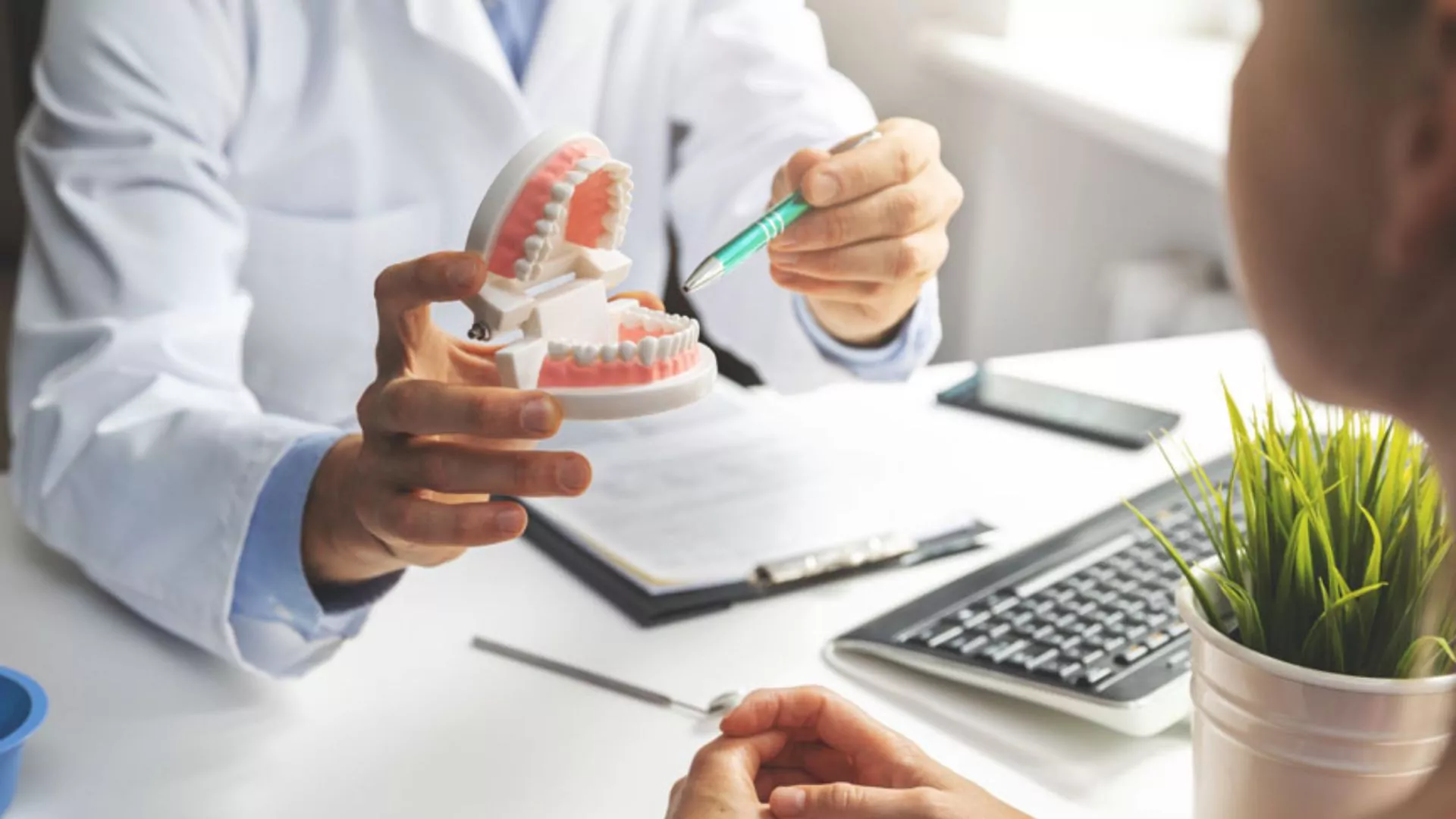 Dentist Pointing to Jaw Model With Patient